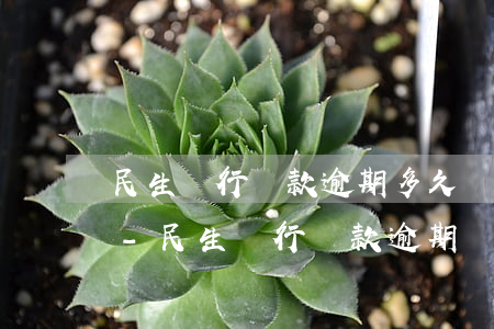 民生銀行貸款逾期多久會(huì)被起訴-民生銀行貸款逾期兩月銀行一直沒(méi)消息