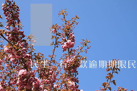 民生銀行貸款逾期期限(民生銀行能逾期多久)
