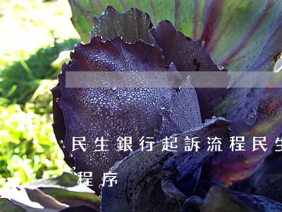 民生銀行起訴流程（民生銀行信用卡逾期起訴程序）