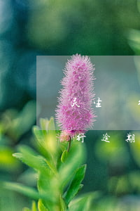 民生銀行逾期11天被限制怎么辦-民生銀行逾期11天被限制怎么辦呢