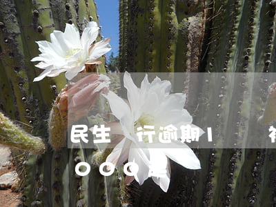 民生銀行逾期1萬會被起訴嗎(民生銀行欠5000起訴)