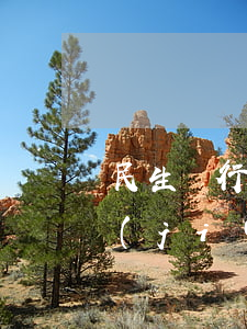 民生銀行逾期5000發(fā)信息凍結(jié)-民生銀行逾期5000發(fā)信息凍結(jié)多久