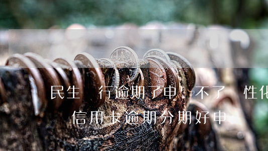 民生銀行逾期了申請不了個性化分期（民生大額信用卡逾期分期好申請嗎）