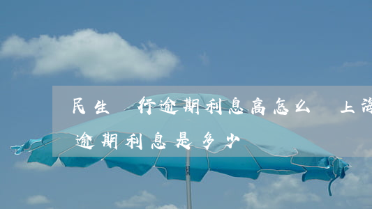 民生銀行逾期利息高怎么辦上海-民生銀行逾期利息是多少