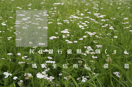 民生銀行逾期半個(gè)月,還最低還能用嗎（民生信用卡沒還夠最低算逾期么）