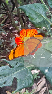 民生銀行逾期半個(gè)月,還最低還能用嗎（民生銀行信用卡逾期后還能用嗎）