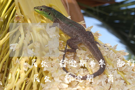 民生銀行逾期半年總部打電話過來協商（湖北民生銀行逾期協商）