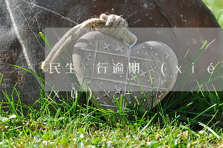 民生銀行逾期協(xié)商分期收手續(xù)費-