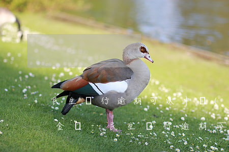 民生銀行逾期可以申請(qǐng)減免本金嗎-民生銀行逾期可以申請(qǐng)減免本金嗎知乎