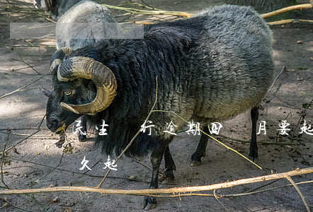 民生銀行逾期四個月要起訴我-民生銀行多久起訴