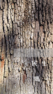 民生銀行逾期外訪排查真會(huì)上門嗎-民生銀行外訪一定會(huì)去家里嗎