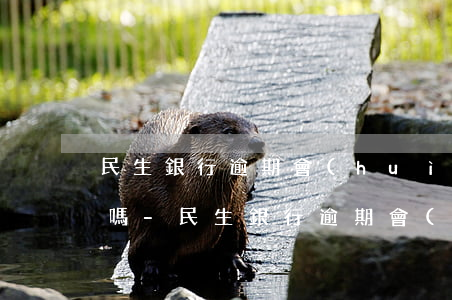 民生銀行逾期會(huì)上門送拜訪留條嗎-民生銀行逾期會(huì)上門送拜訪留條嗎是真的嗎
