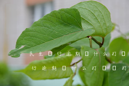 民生銀行逾期為什么打電話打不停-民生銀行逾期為什么打電話打不停呢