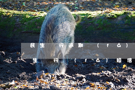 民生銀行逾期發(fā)短信說進村錄像(民生銀行發(fā)短信上門)