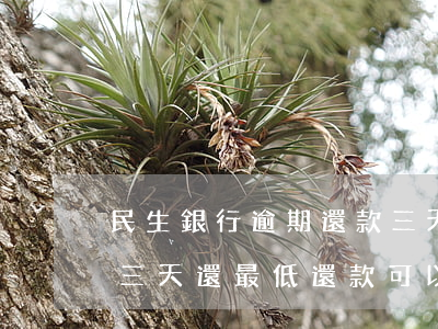 民生銀行逾期還款三天(民生銀行信用卡逾期三天還最低還款可以嗎)