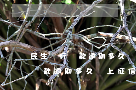 民生銀行還款逾期多久會上征信-民生銀行還款逾期多久會上征信記錄