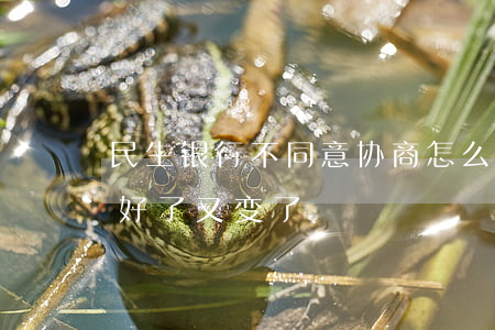 民生银行不同意协商怎么办-民生银行协商好了又变了