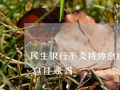 民生银行不支持停息挂账(民生信用卡可以停息挂账吗)