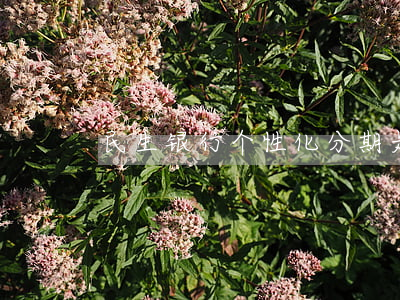 民生银行个性化分期是否有手续费？