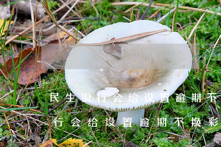 民生银行会给设置逾期不换彩铃吗-民生银行会给设置逾期不换彩铃吗是真的吗