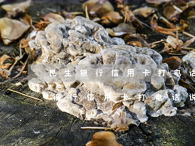 民生银行信用卡打电话说可以还本金-民生银行信用卡打电话说可以还本金是真的吗