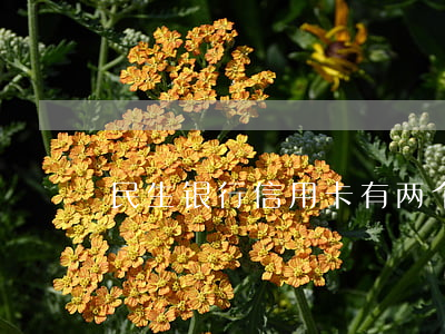 民生银行信用卡有两个逾期