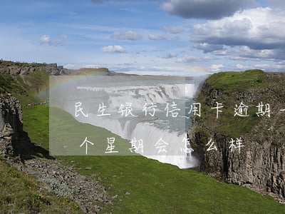 民生银行信用卡逾期一周(民生信用卡逾期一个星期会怎么样)