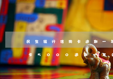 民生银行信用卡逾期一年的有没有(民生信用卡5000逾期一年会怎么样)