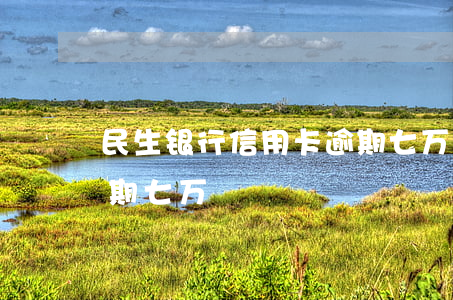 民生银行信用卡逾期七万(民生银行信用卡逾期七万)