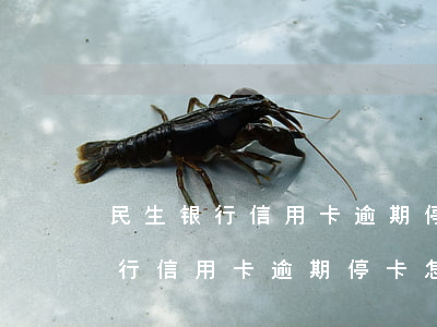 民生银行信用卡逾期停卡怎么还款-民生银行信用卡逾期停卡怎么还款啊