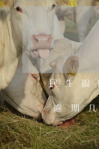 民生银行信用卡逾期几十万 民生银行信用卡逾期几十万会怎么样
