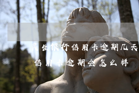 民生银行信用卡逾期几天就上征信(民生银行信用卡逾期会怎么样)