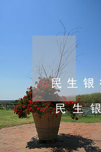 民生银行信用卡逾期协商个性化还款方案-民生银行信用卡逾期协商个性化还款方案怎么写