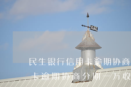 民生银行信用卡逾期协商分期(民生银行信用卡逾期协商分期一万收30手续费)