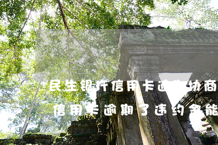 民生银行信用卡逾期协商找哪里(民生银行的信用卡逾期了违约金能取消吗)
