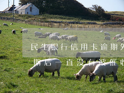 民生银行信用卡逾期外包(民生银行信用卡逾期后一直没有被催收)