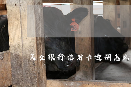 民生银行信用卡逾期怎么算