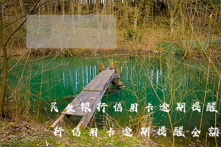 民生银行信用卡逾期提醒全额还款-民生银行信用卡逾期提醒全额还款是真的吗