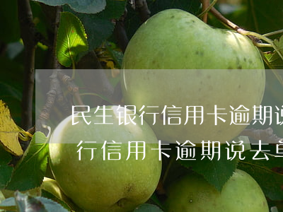 民生银行信用卡逾期说去单位核实-民生银行信用卡逾期说去单位核实是真的吗