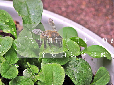 民生银行信用卡逾期说已结案 民生银行逾期三个多月 法务部说起诉我