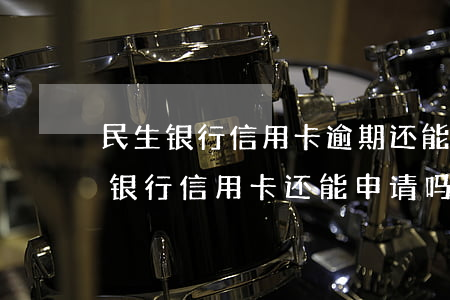 民生银行信用卡逾期还能再申请(已经有民生银行信用卡还能申请吗)
