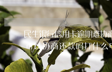 民生银行信用卡逾期难协商(民生银行卡逾期,可以协商还款吗打什么电话)