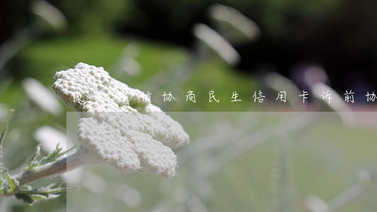 民生银行协商（民生信用卡诉前协商）