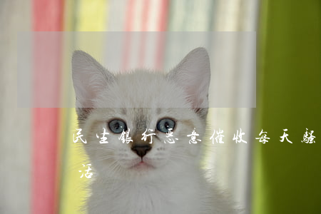 民生银行恶意催收每天骚扰，严重影响工作生活！