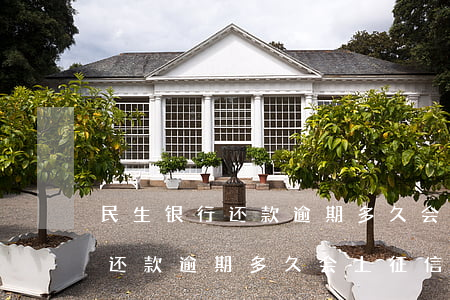 民生银行还款逾期多久会上征信-民生银行还款逾期多久会上征信记录