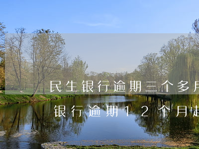 民生银行逾期三个多月 法务部说起诉我（民生银行逾期12个月起诉离婚）