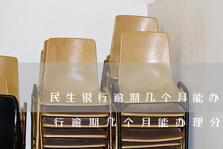 民生银行逾期几个月能办理分期吗-民生银行逾期几个月能办理分期吗怎么办