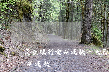 民生银行逾期还款一天(民生晚一天还款算逾期还款)