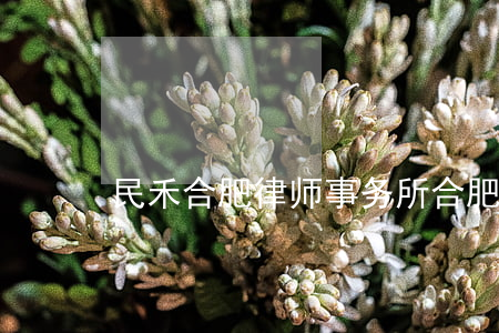 民禾(合肥)律师事务所(合肥合同律师事务所)