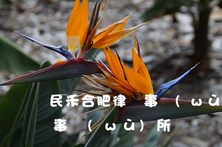 民禾(合肥)律師事務(wù)所(合肥合同律師事務(wù)所)